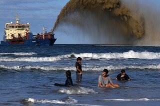 L'extraction du sable affecte la biodiversité dans un certain nombre de pays (archives).